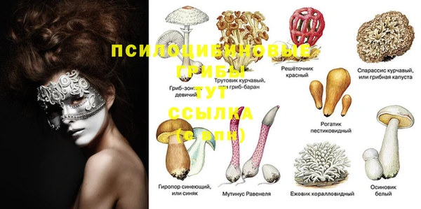 эйфоретик Пересвет