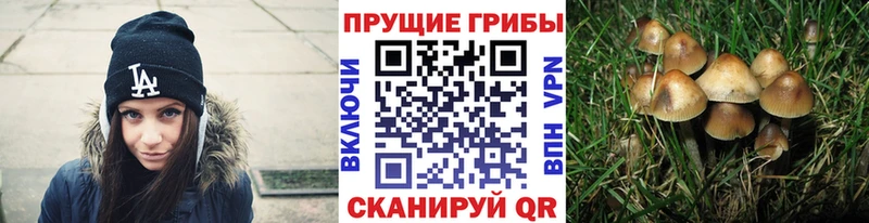 Псилоцибиновые грибы Magic Shrooms  Южно-Сахалинск 